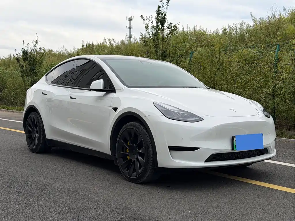 Tesla Model Y — фото 3
