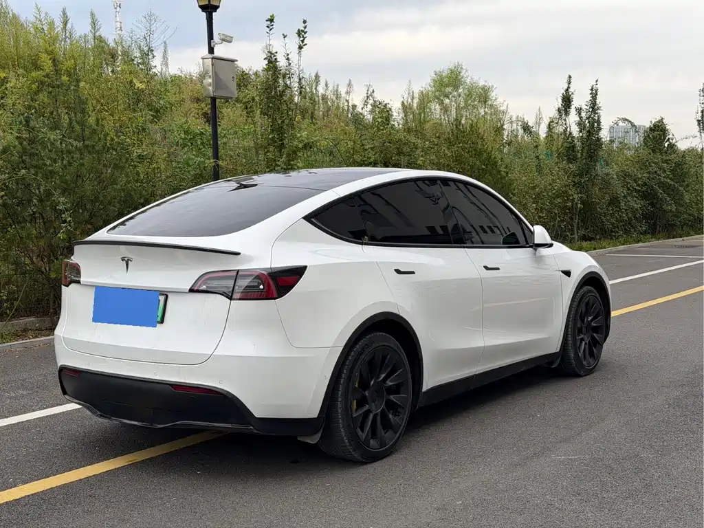 Tesla Model Y — фото 4