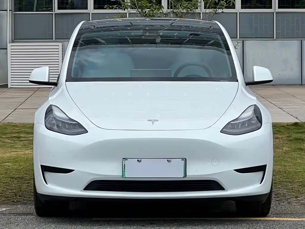 Tesla Model Y — фото 2