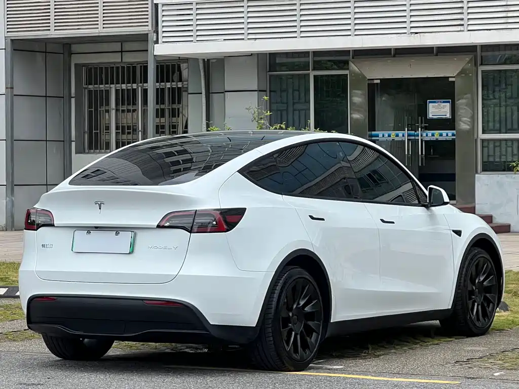 Tesla Model Y — фото 13