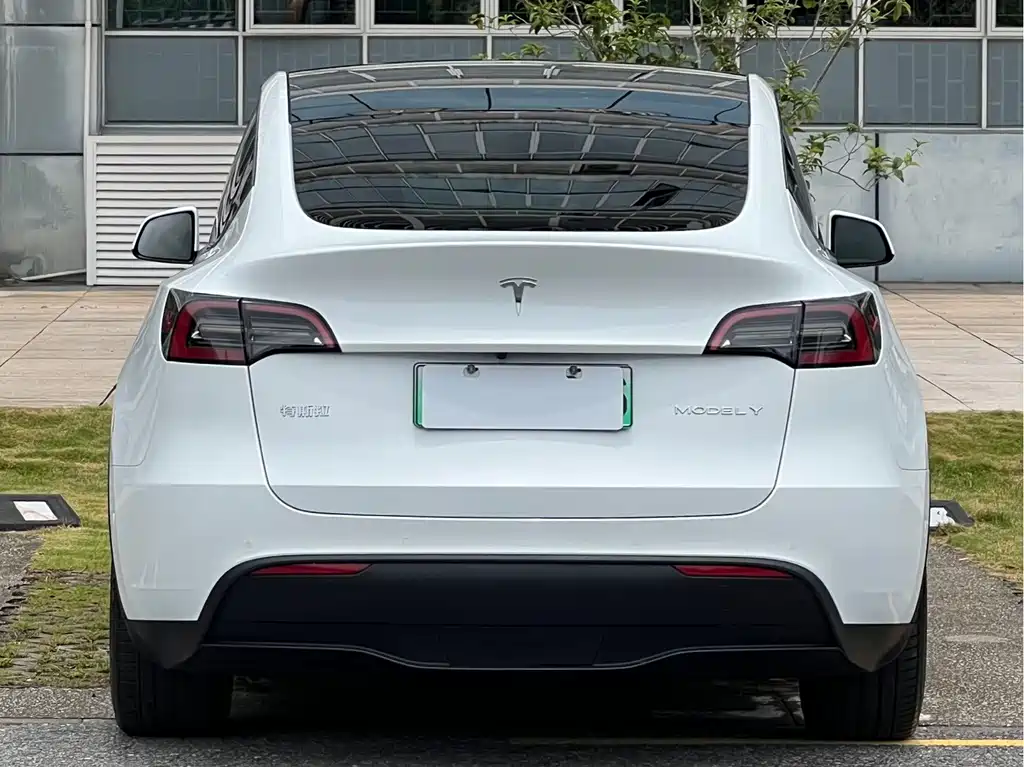 Tesla Model Y — фото 14