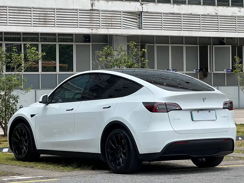 Tesla Model Y — фото 15