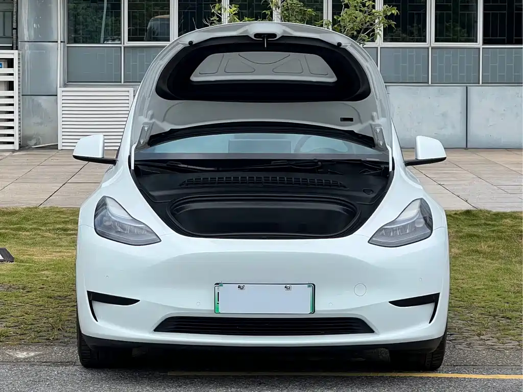 Tesla Model Y — фото 16