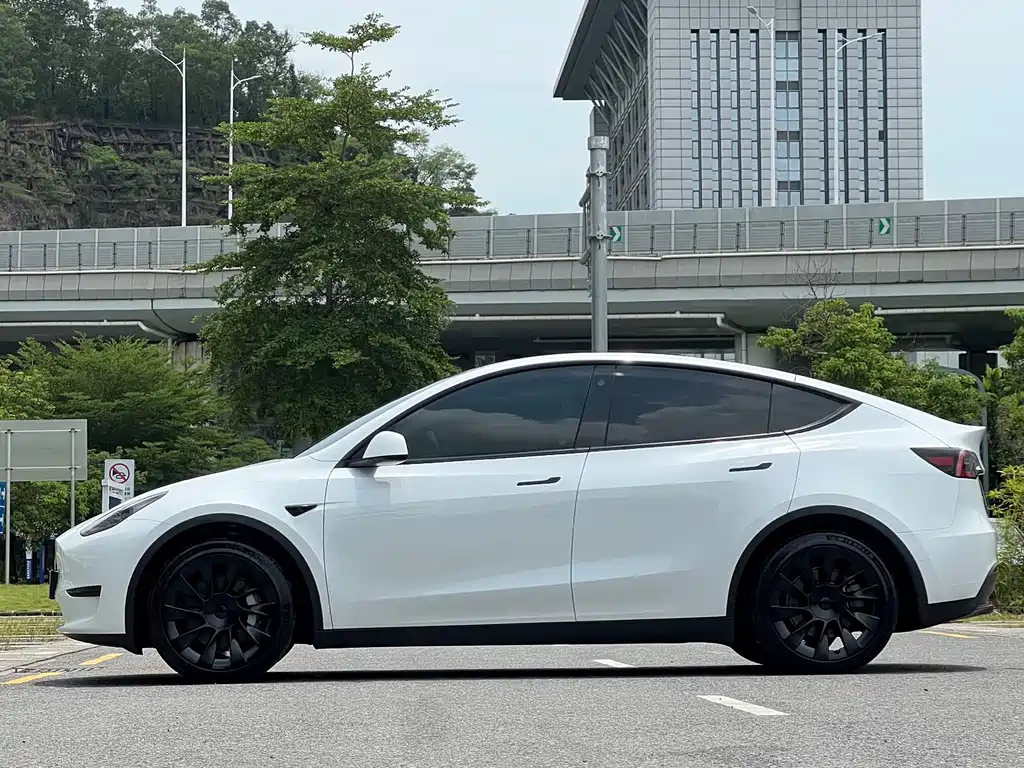 Tesla Model Y — фото 18