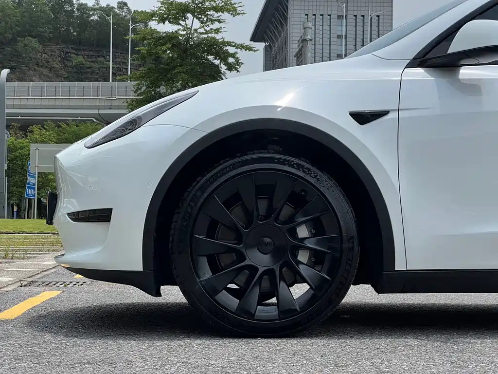 Tesla Model Y — фото 19
