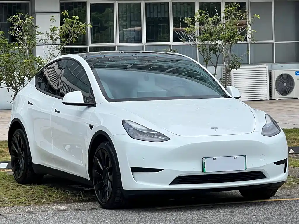 Tesla Model Y — фото 3