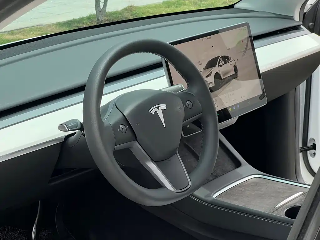 Tesla Model Y — фото 10