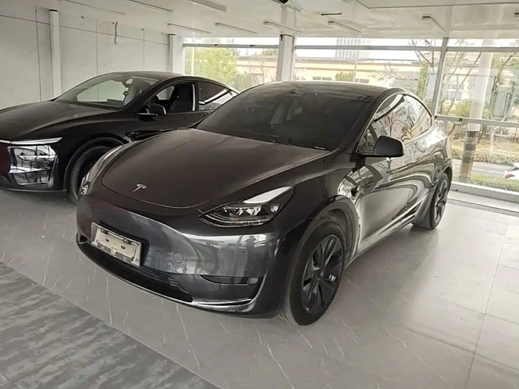 Tesla Model Y — фото 2