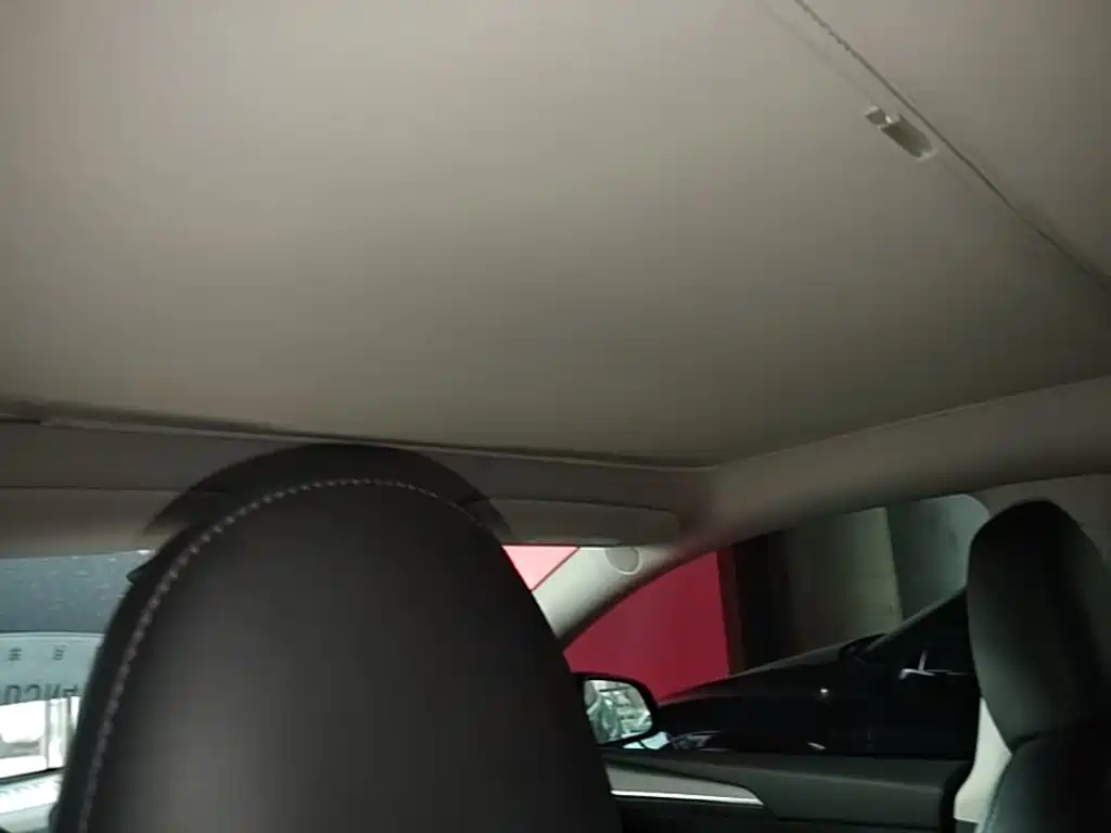 Tesla Model Y — фото 18