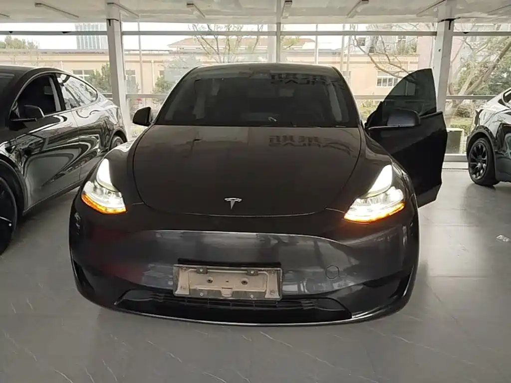 Tesla Model Y — фото 3