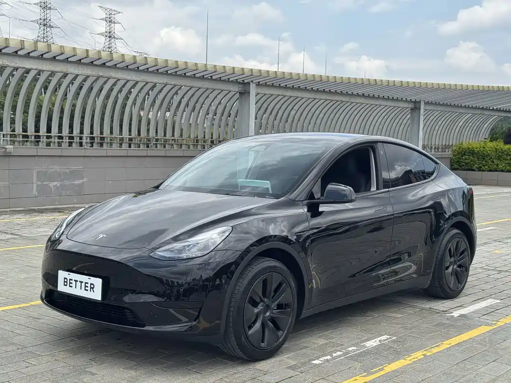 Tesla Model Y — фото 2