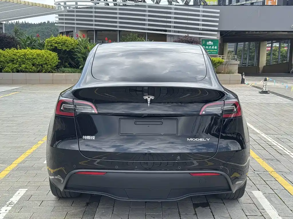 Tesla Model Y — фото 11
