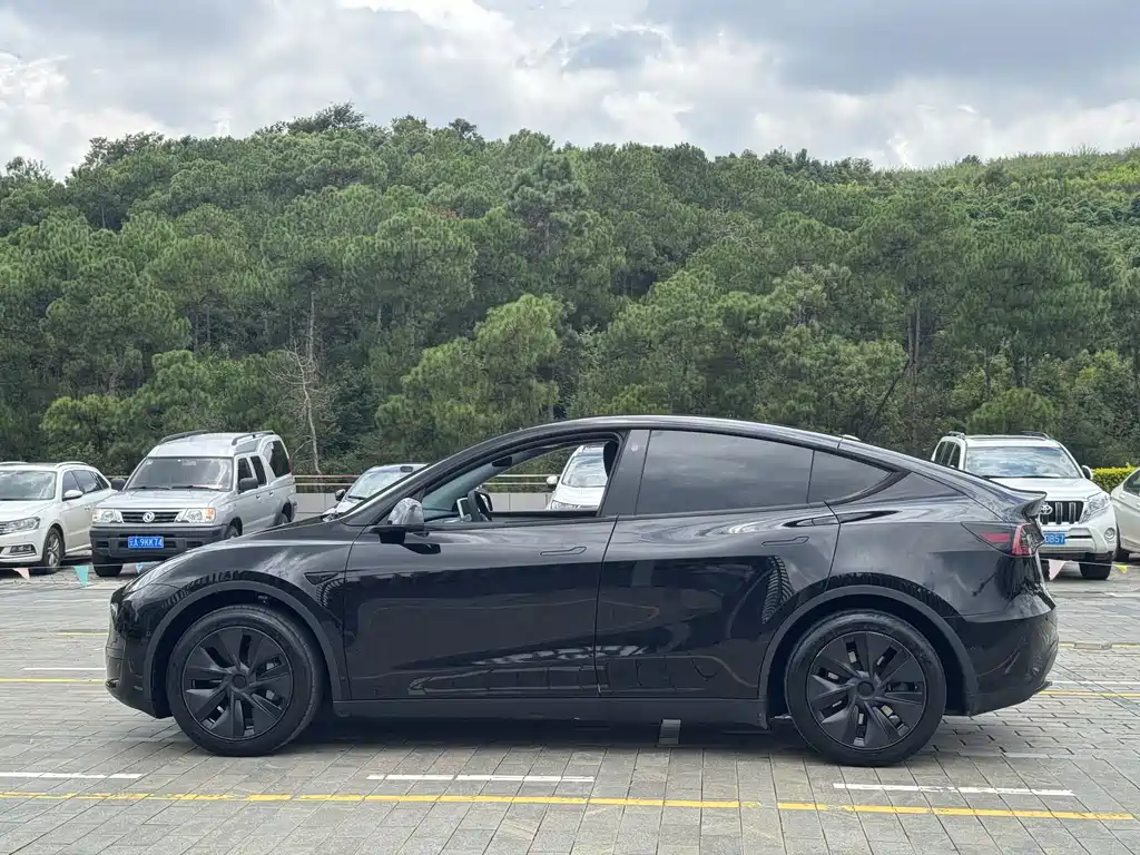 Tesla Model Y — фото 13
