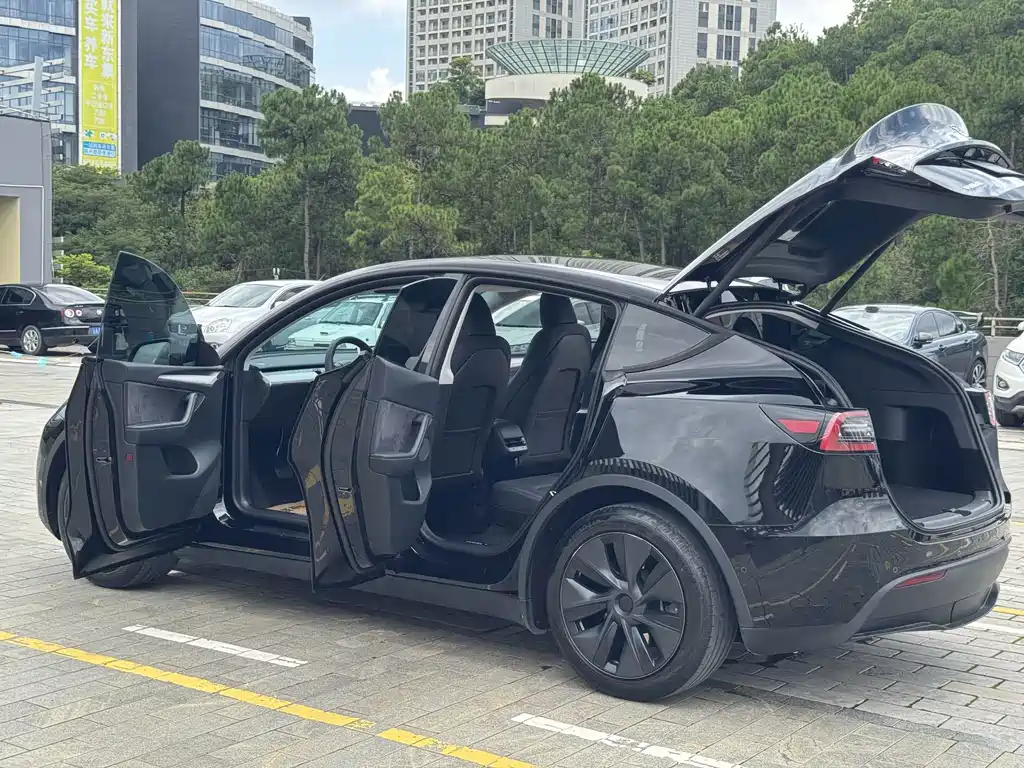 Tesla Model Y — фото 14