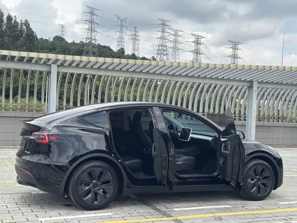 Tesla Model Y — фото 15
