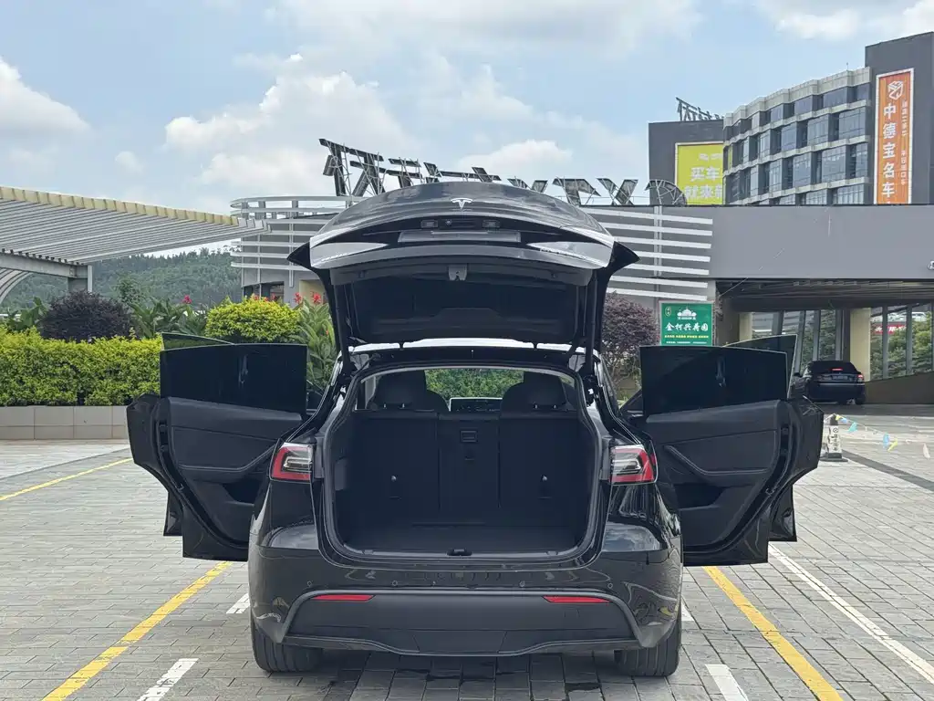 Tesla Model Y — фото 18