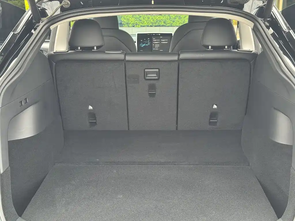 Tesla Model Y — фото 19