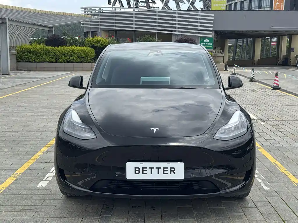 Tesla Model Y — фото 3