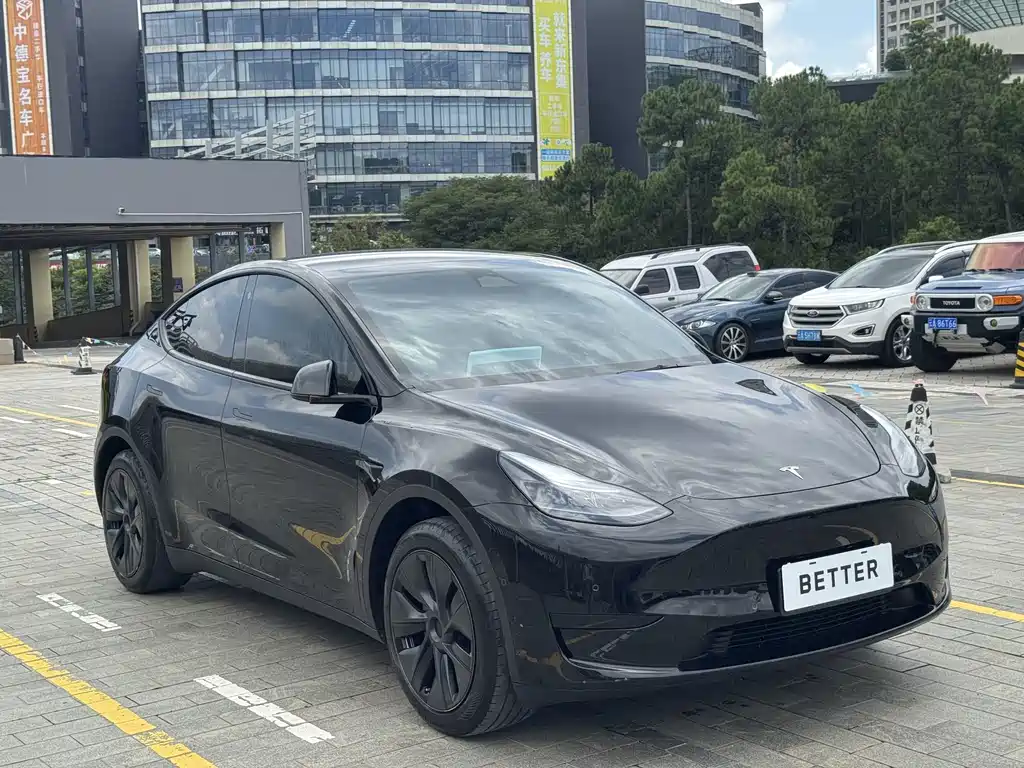 Tesla Model Y — фото 4
