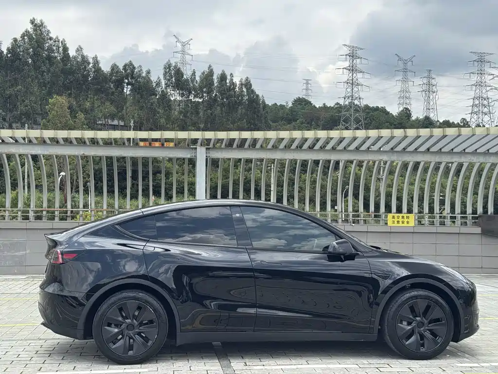 Tesla Model Y — фото 7