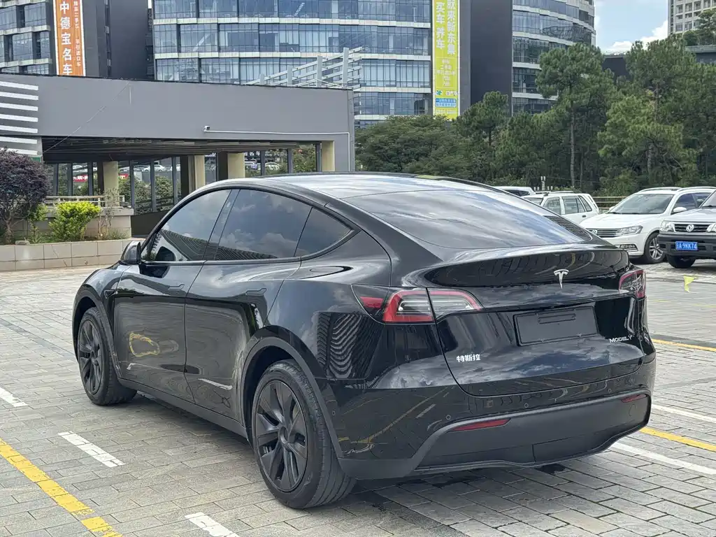 Tesla Model Y — фото 8