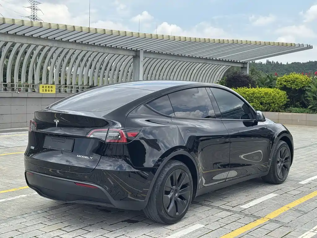 Tesla Model Y — фото 10