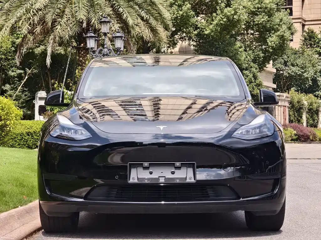 Tesla Model Y — фото 2