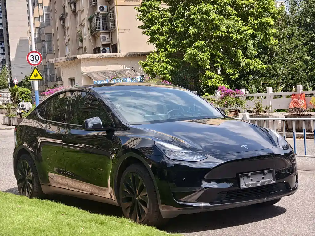 Tesla Model Y — фото 3
