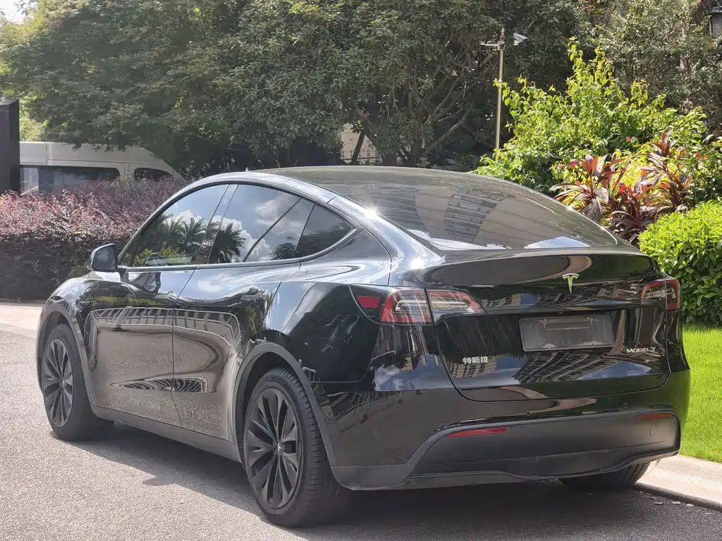 Tesla Model Y — фото 5
