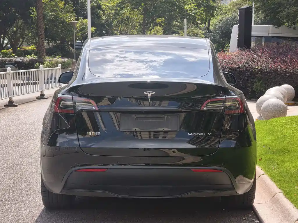 Tesla Model Y — фото 6