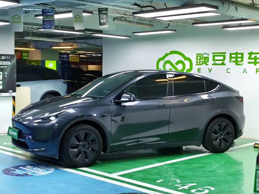 Tesla Model Y — фото 2