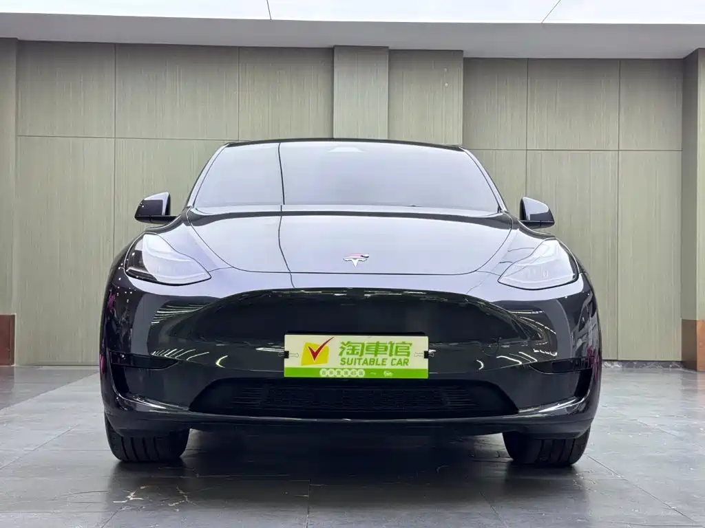 Tesla Model Y — фото 2