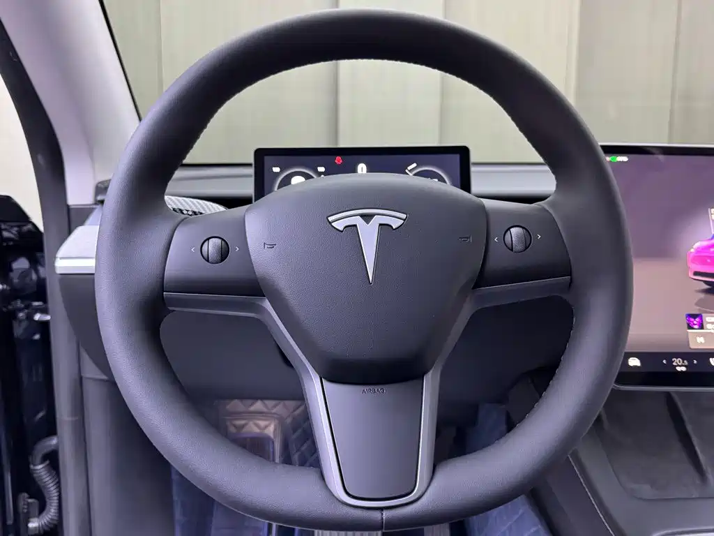 Tesla Model Y — фото 11