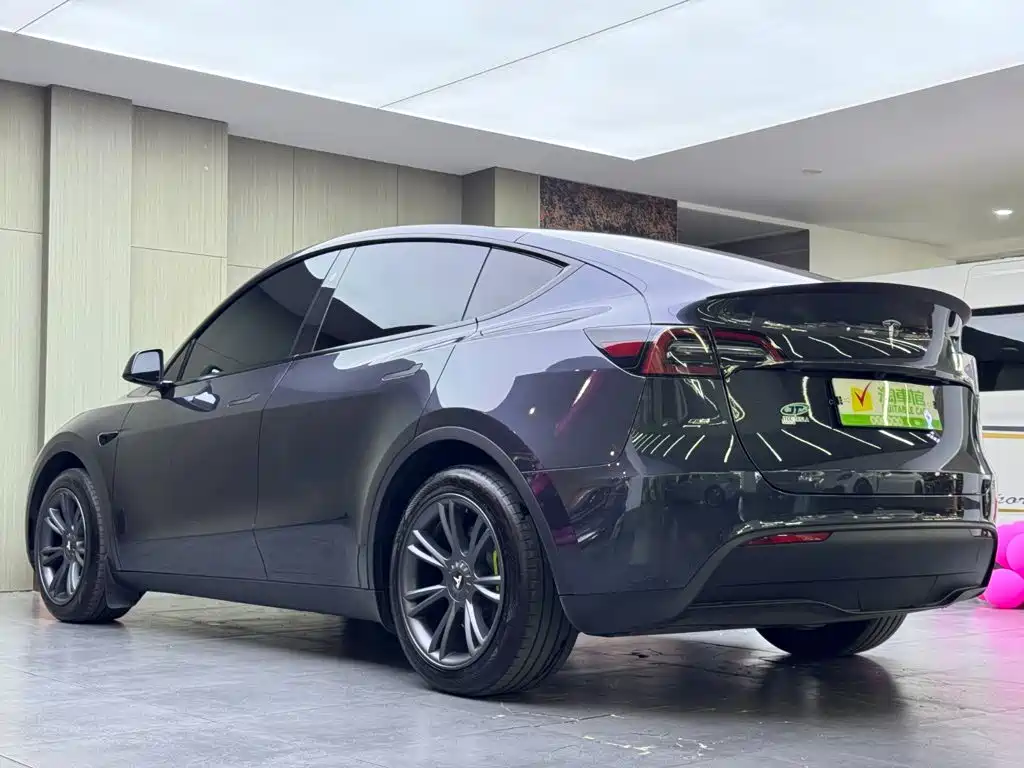 Tesla Model Y — фото 6