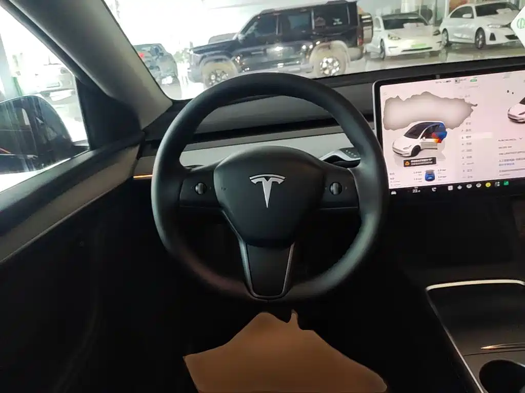 Tesla Model Y — фото 11