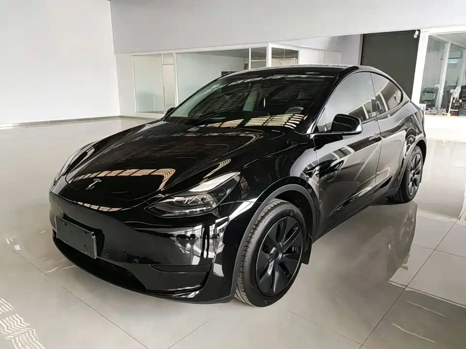 Tesla Model Y — фото 1
