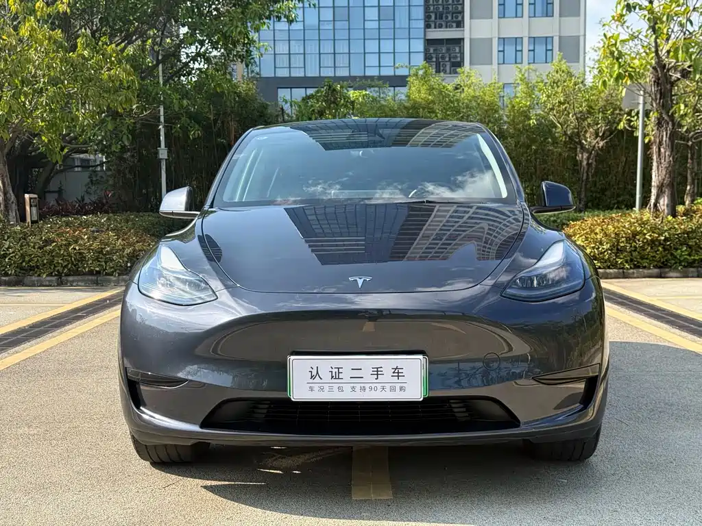 Tesla Model Y — фото 2