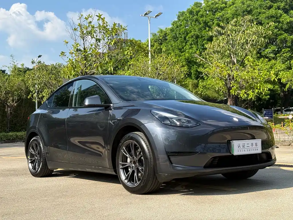 Tesla Model Y — фото 3