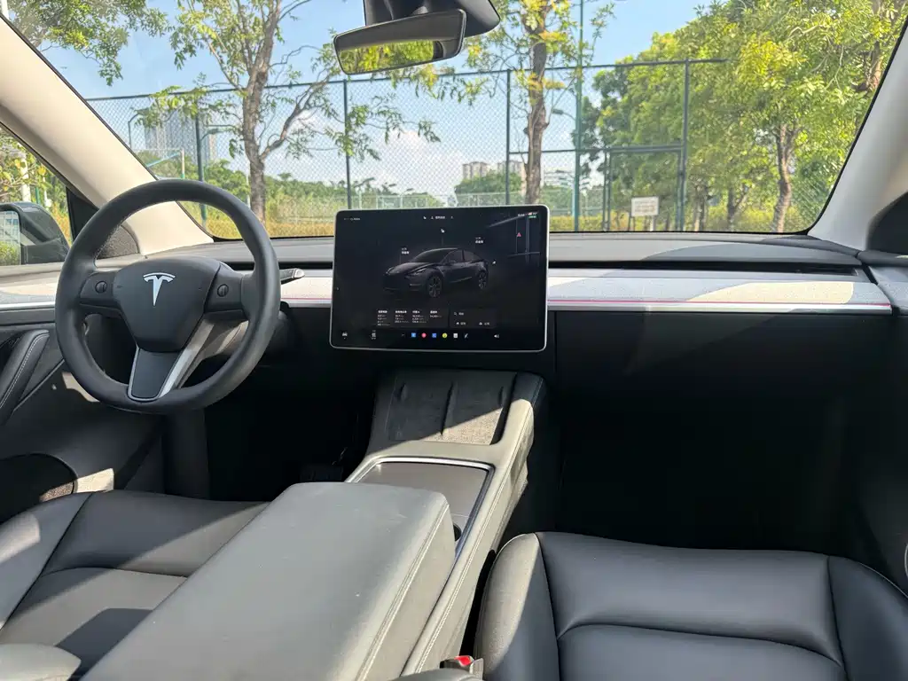 Tesla Model Y — фото 6