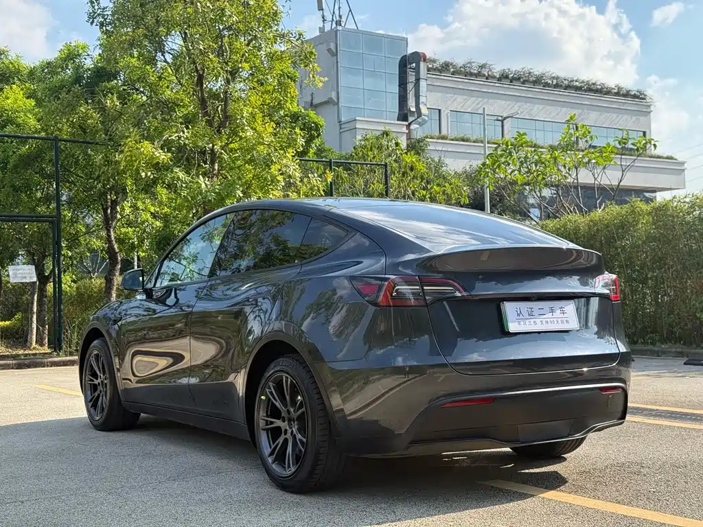Tesla Model Y — фото 9