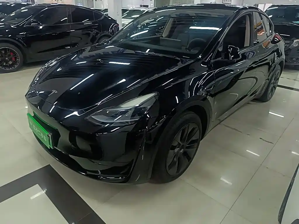 Tesla Model Y — фото 2