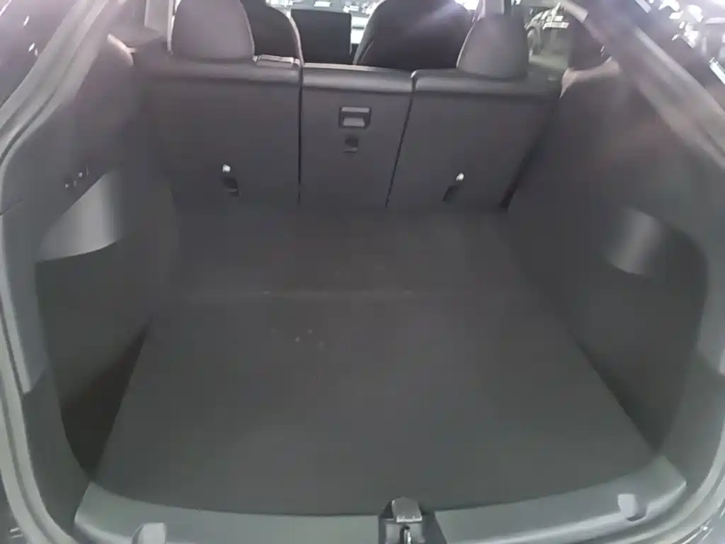 Tesla Model Y — фото 19