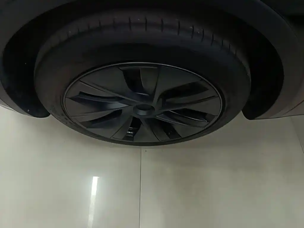 Tesla Model Y — фото 23