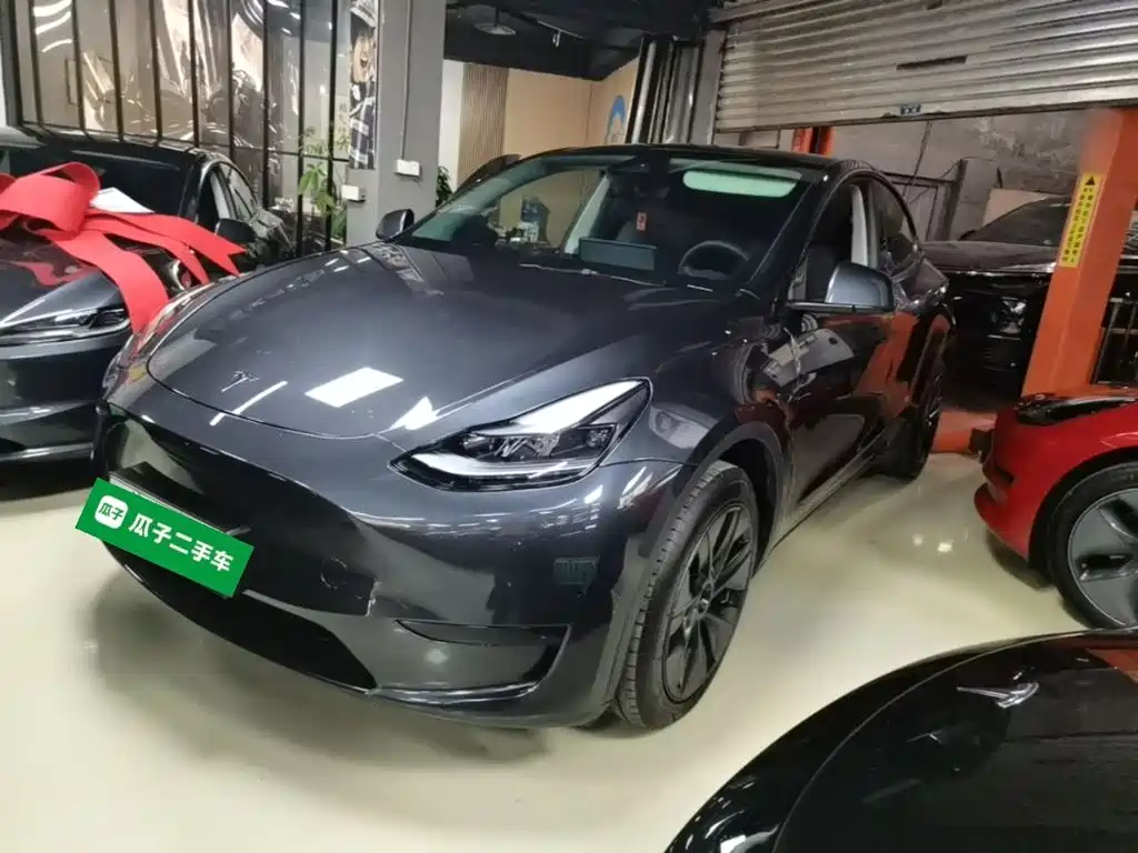 Tesla Model Y — фото 2