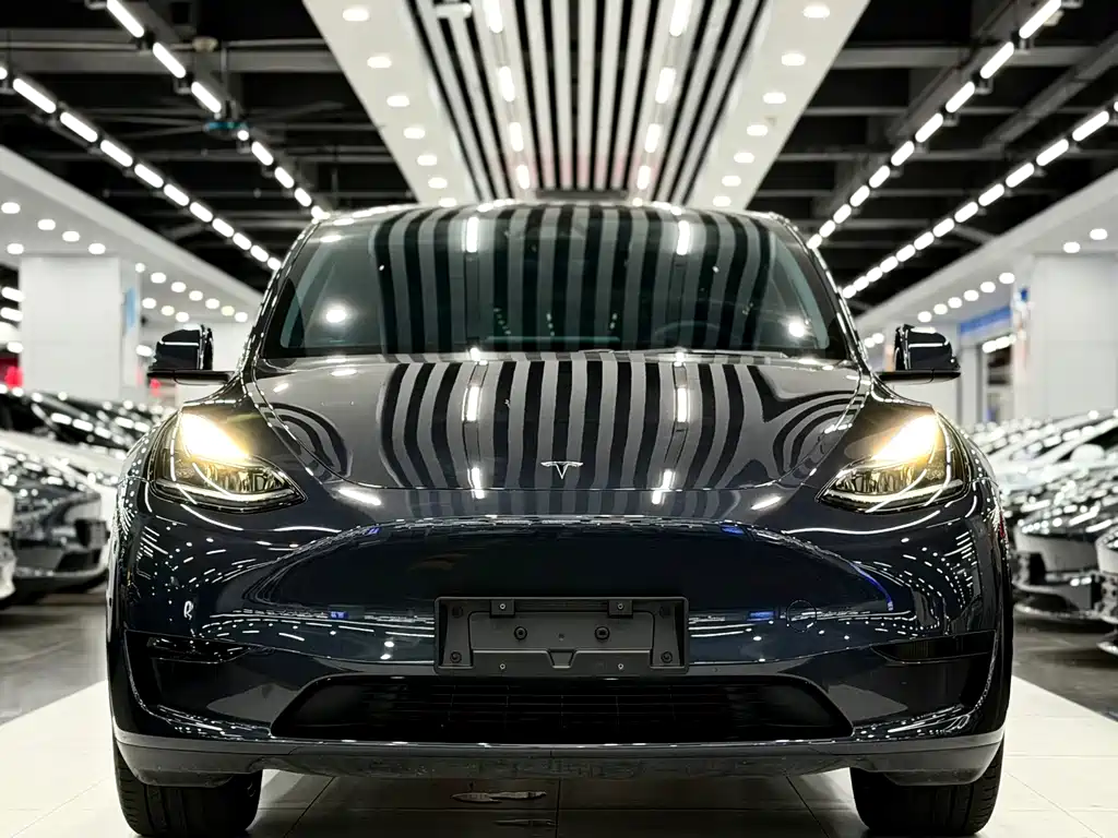 Tesla Model Y — фото 2