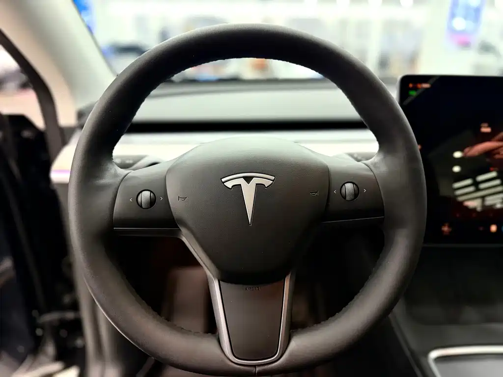 Tesla Model Y — фото 13