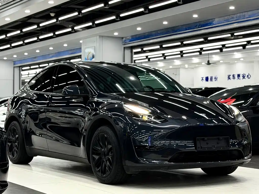 Tesla Model Y — фото 3