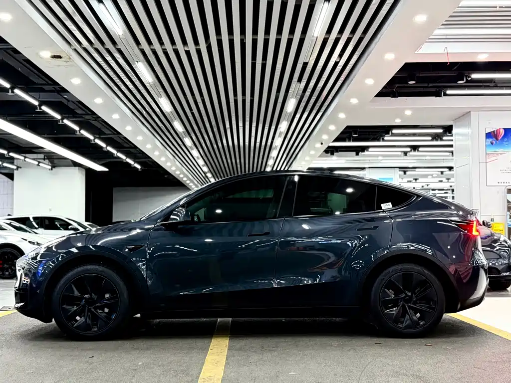 Tesla Model Y — фото 7