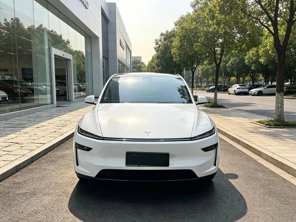 Tesla Model Y — фото 2
