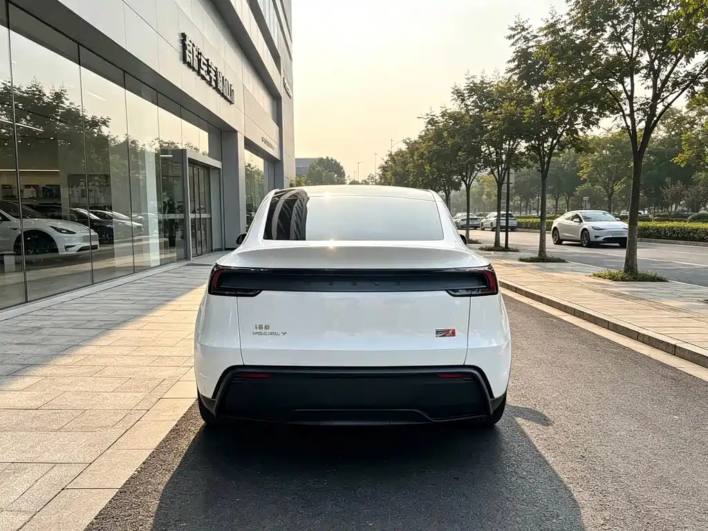 Tesla Model Y — фото 8